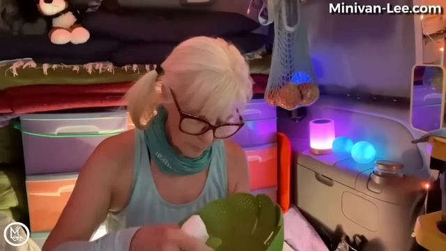 Stay Cool in Summer while (living in my car) смотреть онлайн