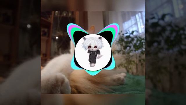 phonk killer (bass+ speed remix) смотреть онлайн