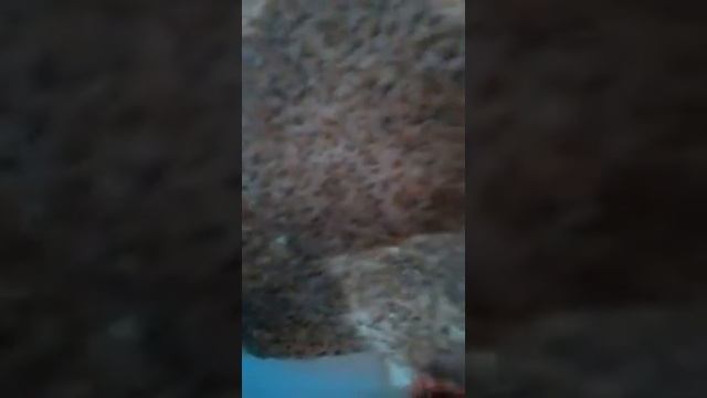 Sabirabad balasi смотреть онлайн
