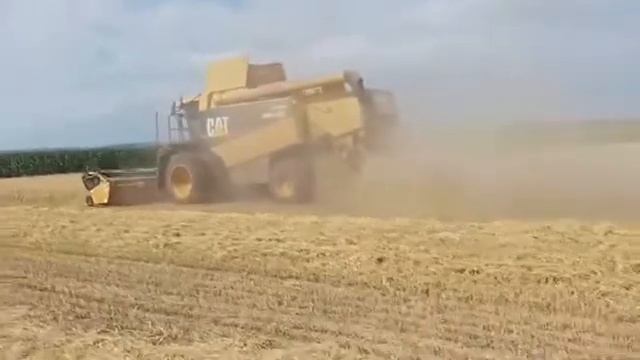 Уборка 2020 Cat lexion 460 ! смотреть онлайн