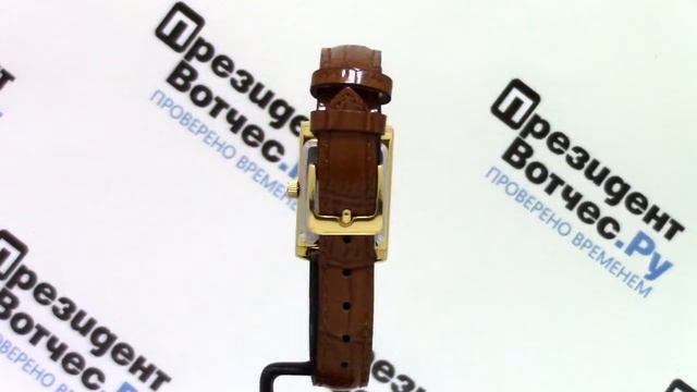 Часы Casio LTP-1234PGL-7A [LTP-1234PGL-7AEF] - Круговой обзор от PresidentWatches.Ru смотреть онлайн