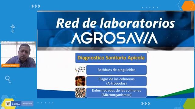 Conferencia Salud apícola en Colombia: estudios de caso y análisis normativo смотреть онлайн