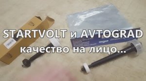 Сравнение фирм Startvolt и Avtograd
