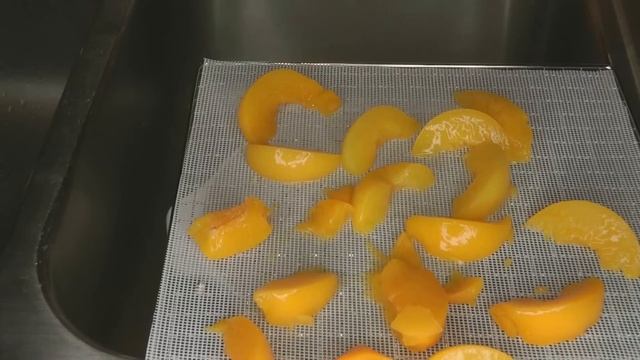 How To Dehydrate Canned Fruit Magic Mill...Dehydrating Expired Peaches, Pears, Mandarin Oranges смотреть онлайн