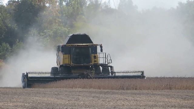 Harvest 2023 | New Holland CR 7.90 Combine Harvesting Soybeans | Ontario, Canada смотреть онлайн