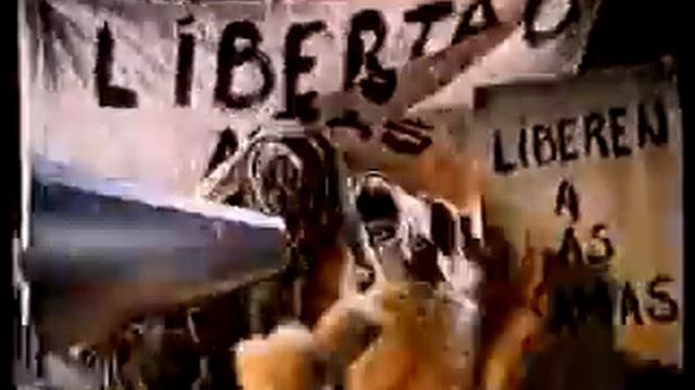 La Llama que llama - Liberen a Willy смотреть онлайн