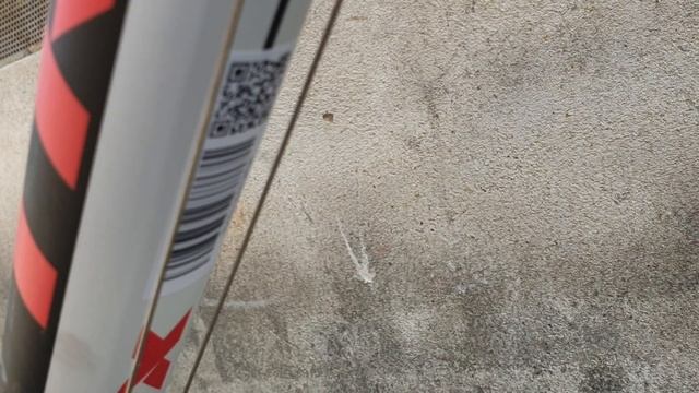 Trinx free 1.0 giá 4 triệu 250 ngàn. Sơn 0937009995 смотреть онлайн