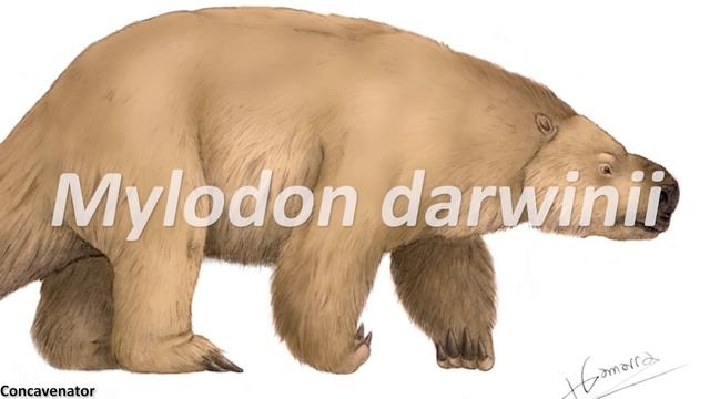 Flesh-Eating Sloths & New Human Species | PaleoRewind 2021: October Part 1 смотреть онлайн