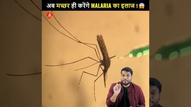 अब मच्छर ही करेंगे Malaria का इलाज !😮| A2 Motivation |#shorts #ashortaday #a2_sir смотреть онлайн