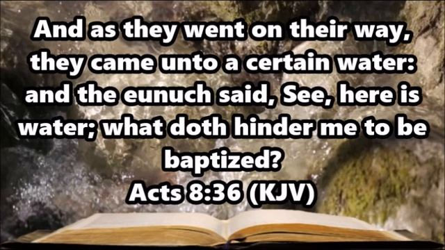 Read The Authorized Holy Bible For Yourself Acts 8 36 Acts 10 47 Matthew 3 16 смотреть онлайн