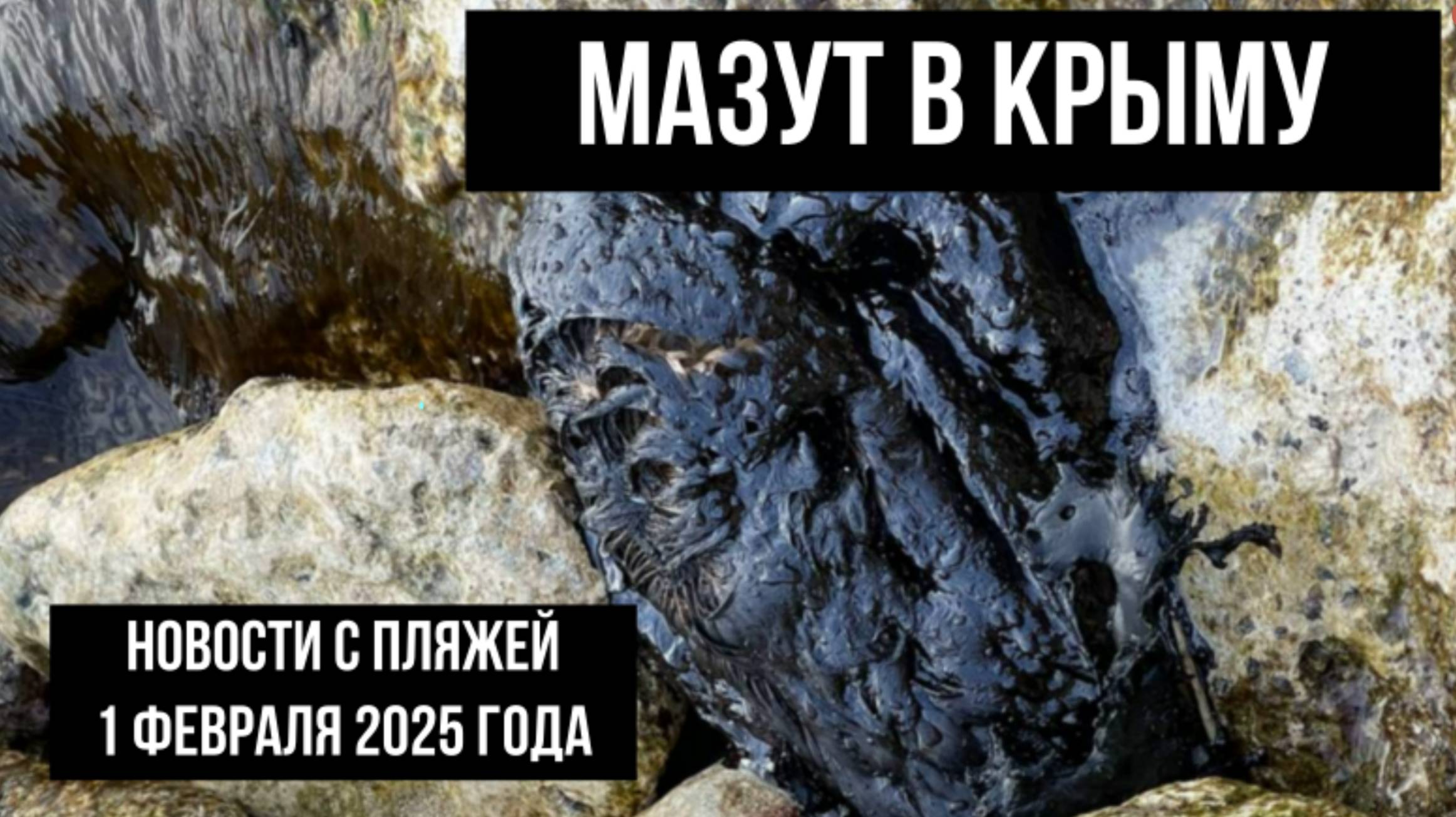 Мазут в Крыму, 1 февраля 2025 года, новости с пляжей смотреть онлайн