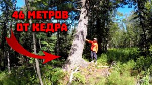 Перевал Дятлова. На месте настила нашли лыжные крепления