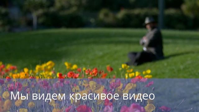 Медленная природа смотреть онлайн