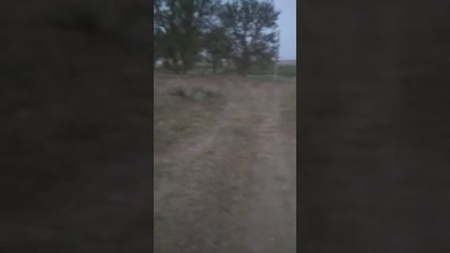 Мотик своими руками с двигателем бензокосы.Сборка почти окончена,за исключением мелочи смотреть онлайн