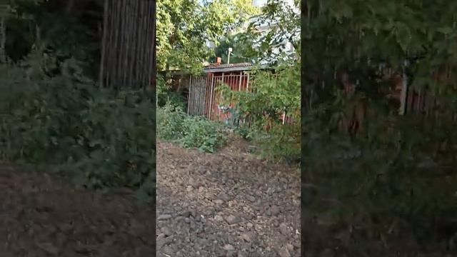 24 часа находимся на поле смотреть онлайн