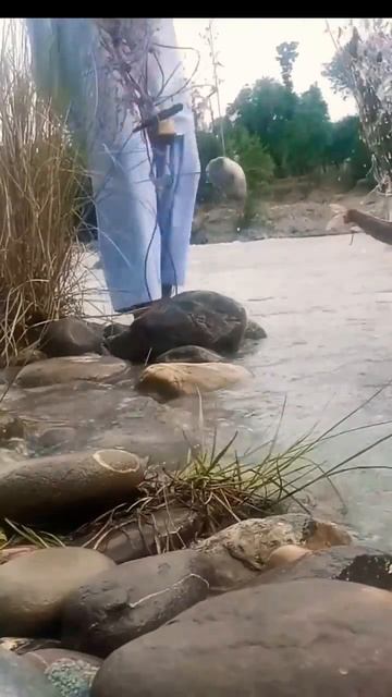 Big fish catch in River/fishing with net смотреть онлайн