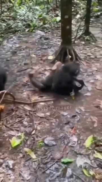 #когда не видел долго друзей смотреть онлайн