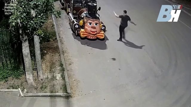 Воронежец устроил в парке «Дельфин» дебош смотреть онлайн