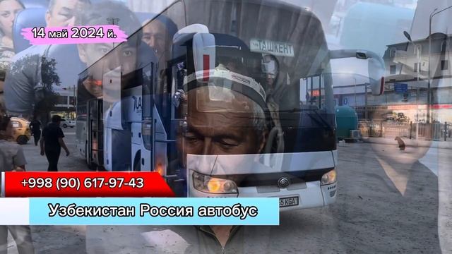 Ташкент Москва автобус прямой рейс давлат рейслари без посредника #tashkent #moskva #avtobus #reysi смотреть онлайн