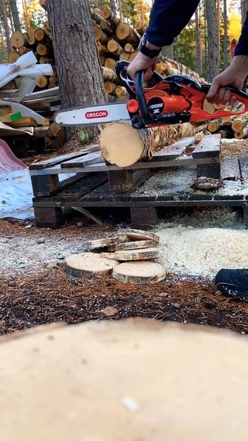 Echo 2511 Wes with muffler mod and timing advance смотреть онлайн