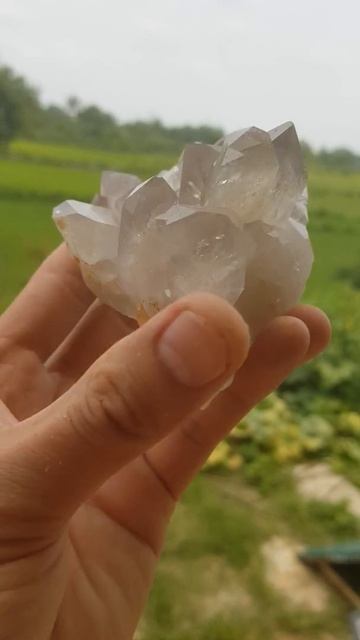 #shorts Mẫu tinh thể thạch anh pha lê nguyên bản tự nhiên nặng 300g $ giá 230k $ Đá phong thủy смотреть онлайн