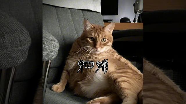 /What is logical/speed up/ смотреть онлайн