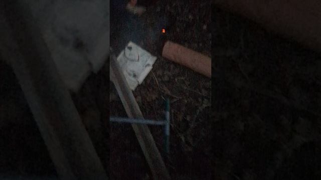 ситуация после ролика