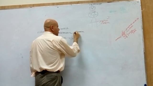 Morfo clase #14 - parte 2/5 смотреть онлайн