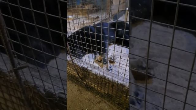 История Урганта. смотреть онлайн