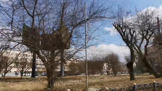 К ветеринару /магазины/город Комсомольск-на-Амуре #самсебережиссер #Таежный смотреть онлайн