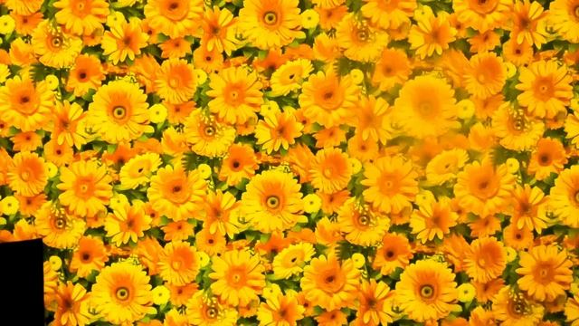 32 случайных часа в Бишкеке смотреть онлайн