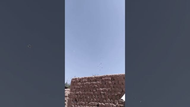 24 августа 2022 г. смотреть онлайн