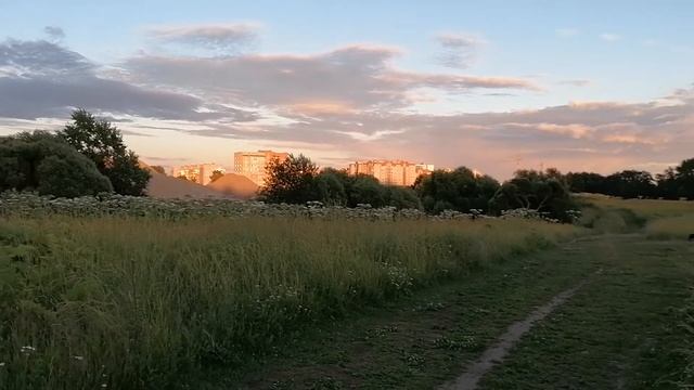 Борьба с борщевиком в Вологде смотреть онлайн