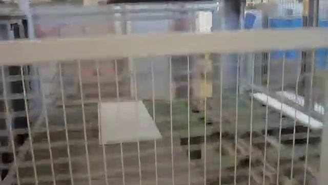 BHT 500 Beschickung смотреть онлайн