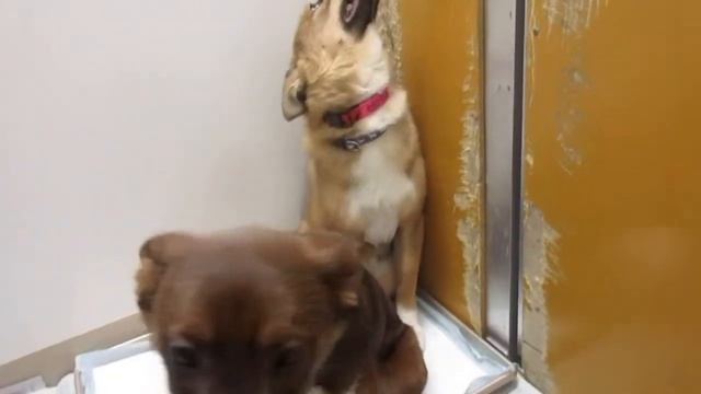 MVI 2134 смотреть онлайн