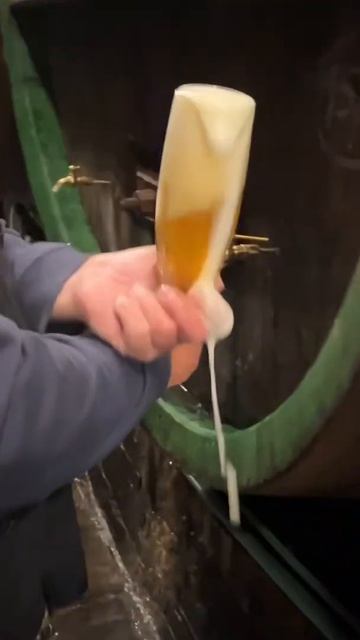 Есть тут ценители хорошего пива? 🍻 смотреть онлайн