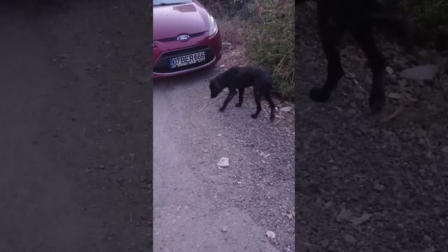 Хорошо что после кафе осталась еда смотреть онлайн