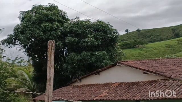 vende-se o sítio zona rural de Joaquim Gomes Alagoas 7 hectares. ponto 8 $120000(82)988600937 смотреть онлайн