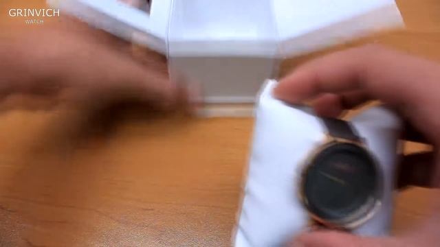Обзор SKAGEN SKW2216 смотреть онлайн