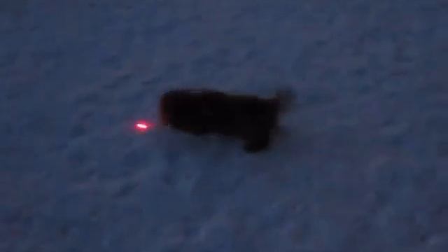 Лазерный зайчик смотреть онлайн