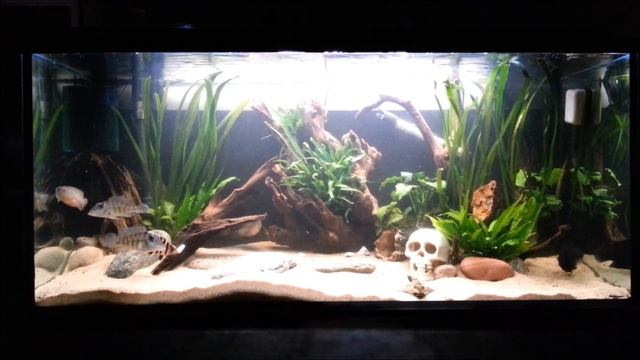 feedingtime 375 смотреть онлайн