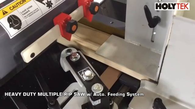MULTI BLADE RIP SAW WITH AUTO FEEDING SYSTEM смотреть онлайн