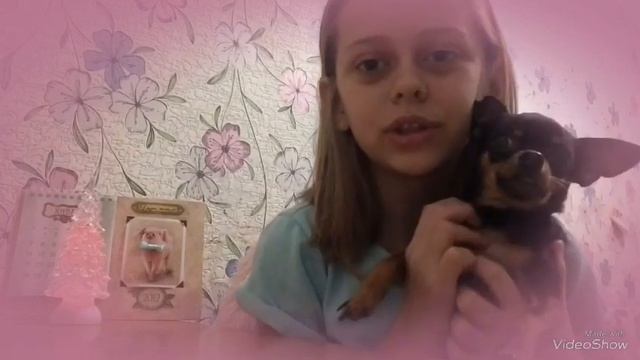 💕5 фактов о моей собаке смотреть онлайн