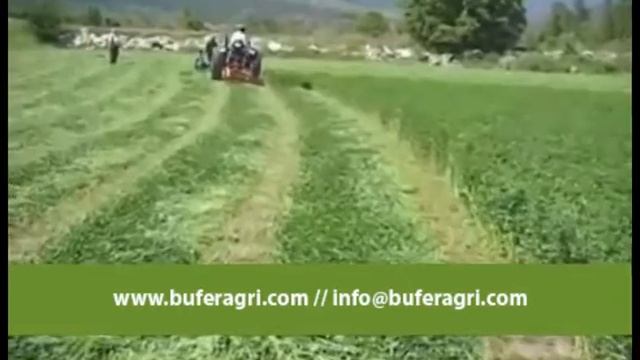 Buferagri Video 1 смотреть онлайн