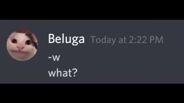 If beluga meet skittlechan's sister. смотреть онлайн