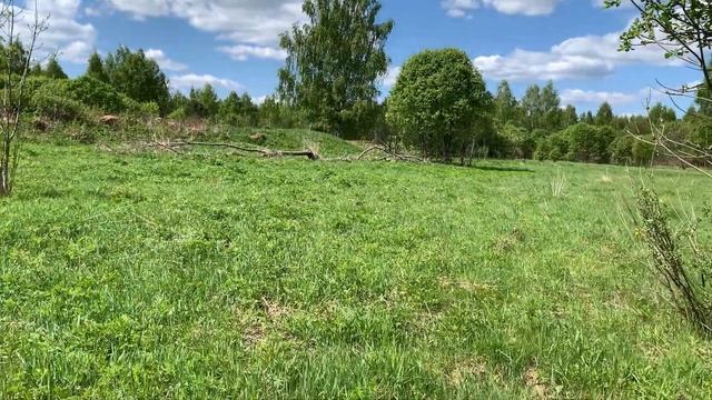 НА ПОИСКАХ 220 км ОТ ДОМА смотреть онлайн