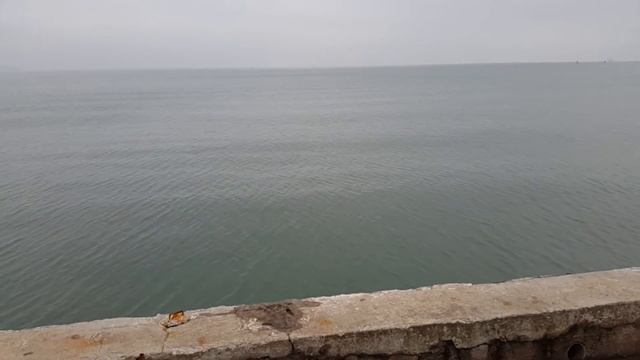 Утка по кличке "Подлодка" смотреть онлайн