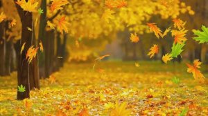 Пётр Лещенко_ Был день осенний_ Rashid