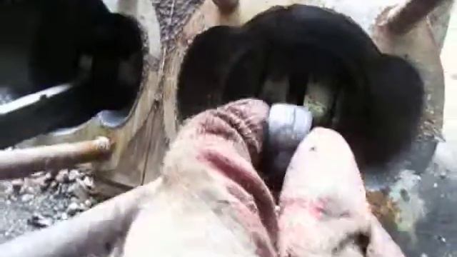 MVI 3745 смотреть онлайн