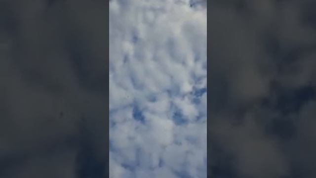 Никалай СОфрино смотреть онлайн